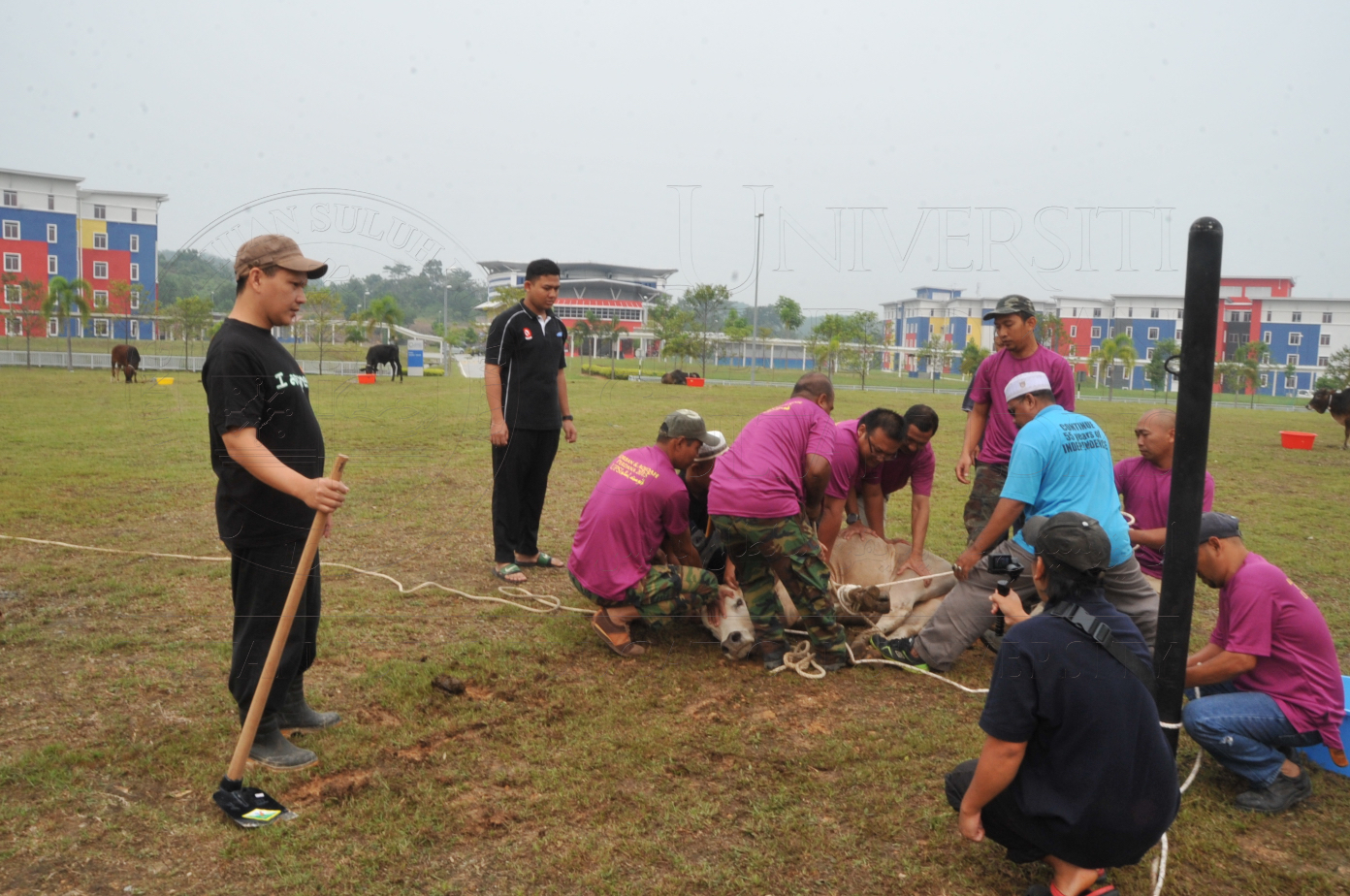 PRO15 150 KORBAN HAS 6687